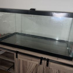 40 Gallon Fish Tank (Full Kit) 