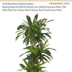 2 Nearly Natural Corn Stalk Dracaenas 