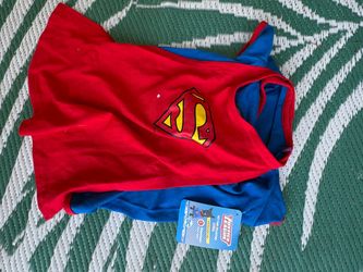 DC Justice League Superman Dog Costume