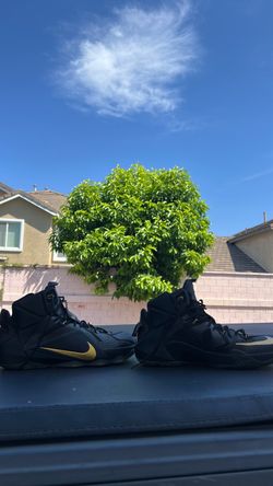Nike Lebron Elite 12