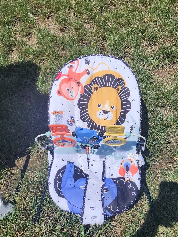 Fisher Price Baby Bouncer