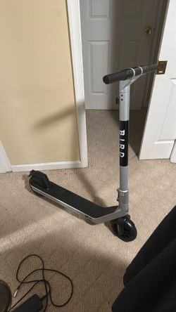 Bird Scooter