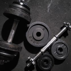 adjustable dumbells Weights