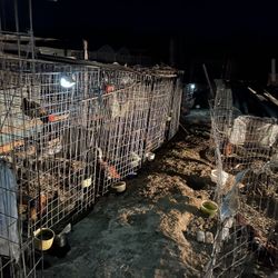 Jaulas/ voladeros/ Cages 