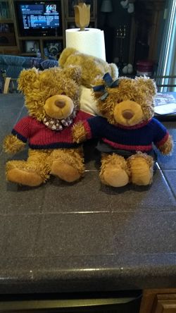 Teddy bear pair