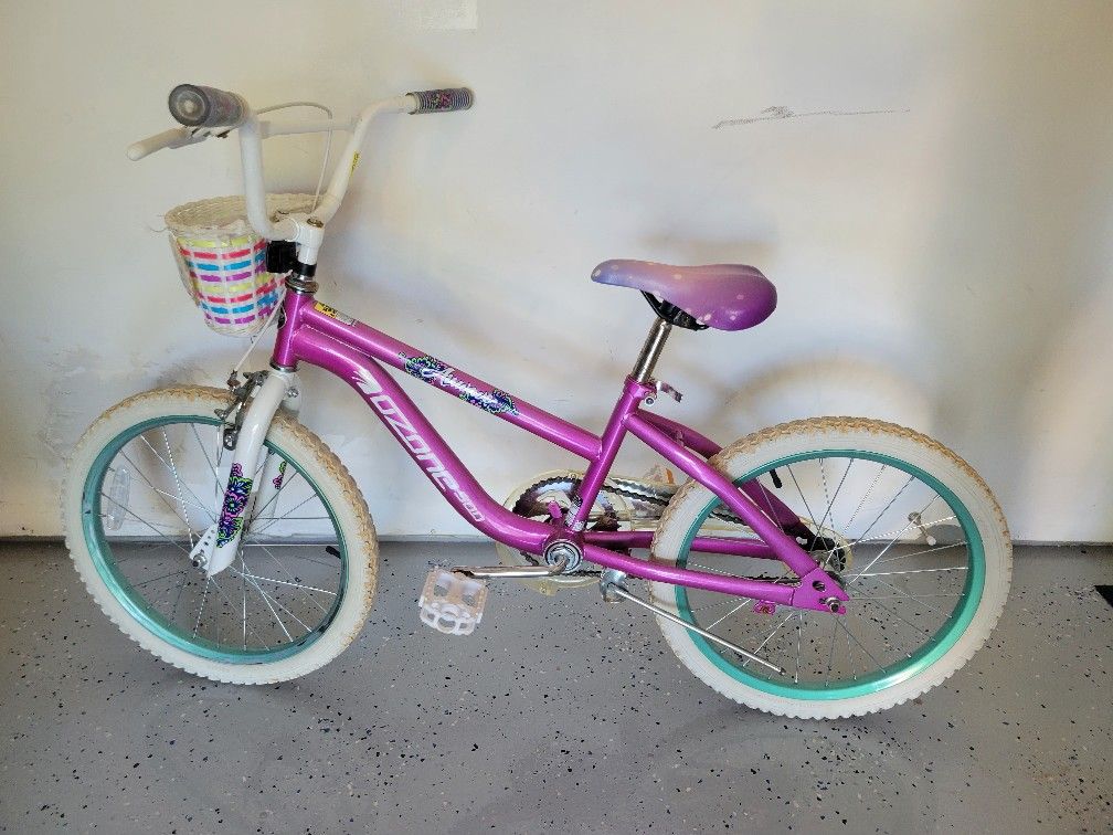 Girls Bike 20