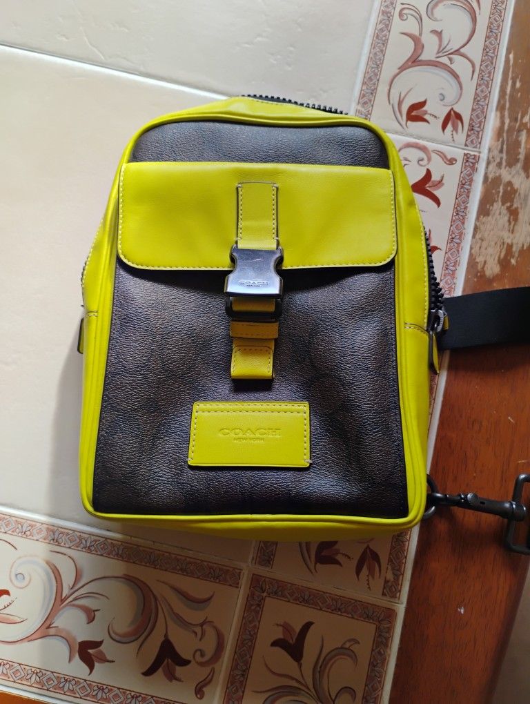 Coach Bag -CL432