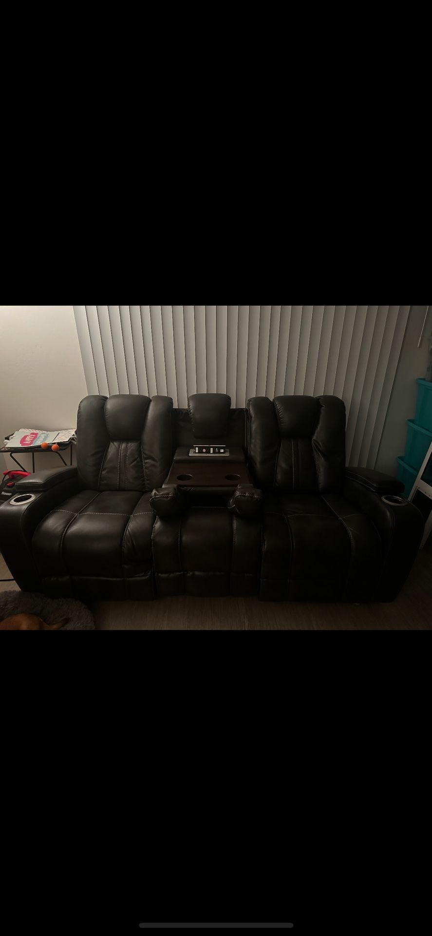 Vegan Leather Couch
