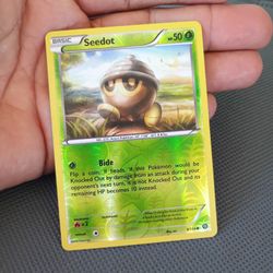 Pokemon TCG Card 2016 Steam Siege Seedot 9/114 Reverse Holo