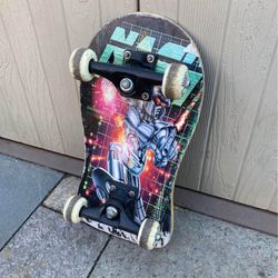 Nash Skateboard 18”