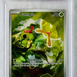 Caterpie Illustration Rare - 2023 Pokemon 151 - PSA 8 Near Mint