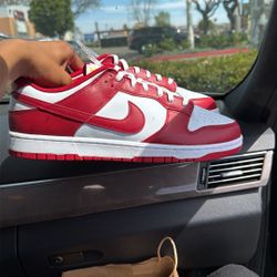 Men’s Red and White Low-Top Leather Nike Dunk Low Retro Sneakers (Varsity Red / White)