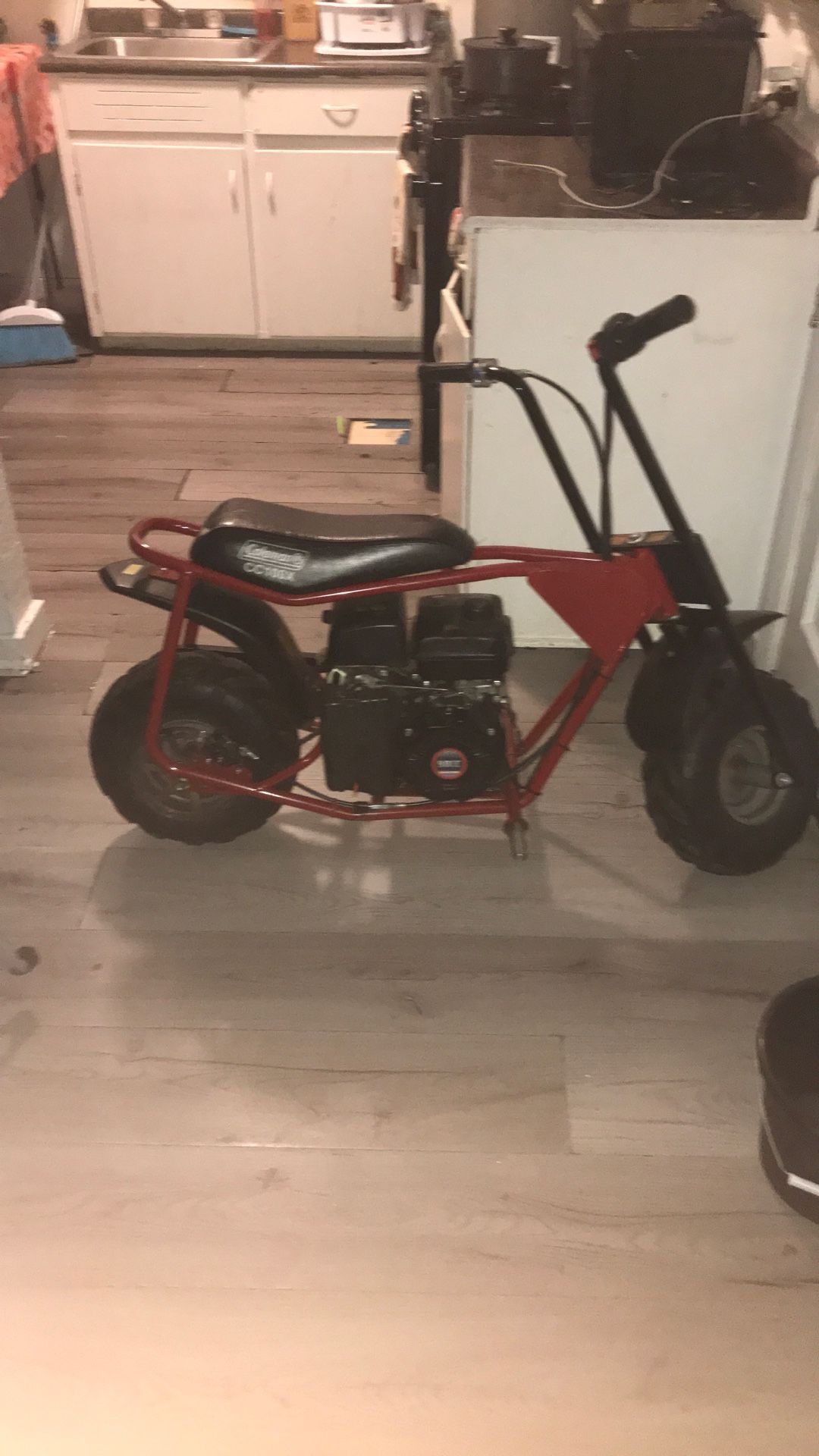 Coleman Mini Bike
