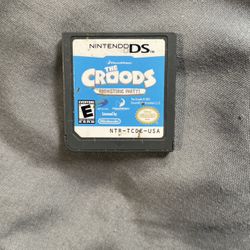 Nintendo Ds The Croods 