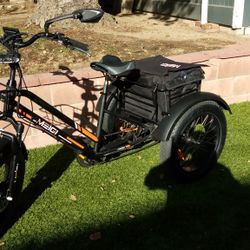 Electric Trike 750watt