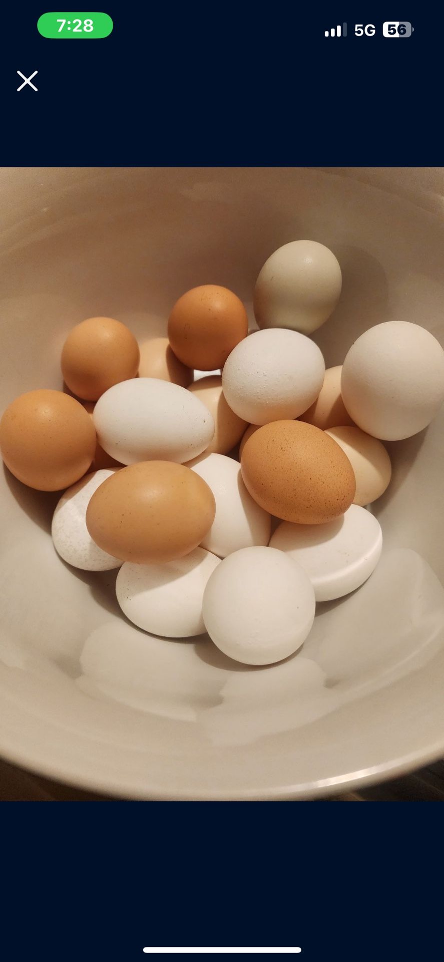 Fresh Chicken Eggs