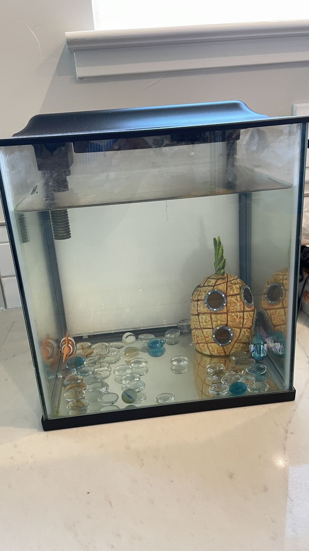 Small Fish Tank With Supplies