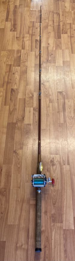 Fishing Rod And Penn Leveline 350 One Piece Rod