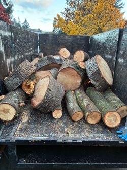 Trailer Load of Spruce Firewood