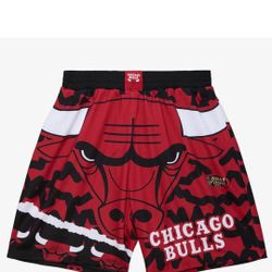 Chicago Bulls Mens Shorts