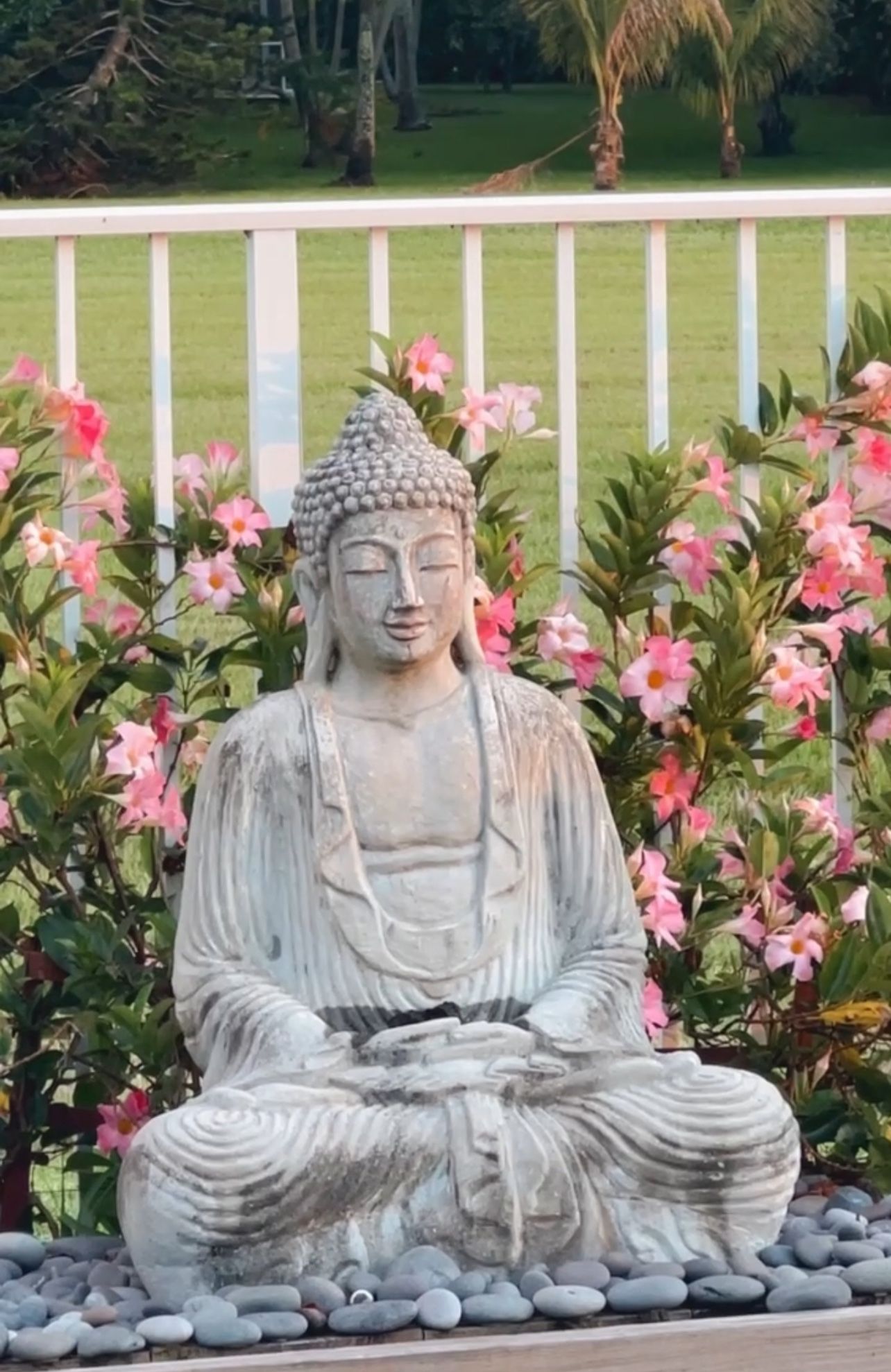 Buddha- Buda Statue