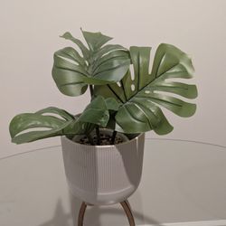 Faux Plant 