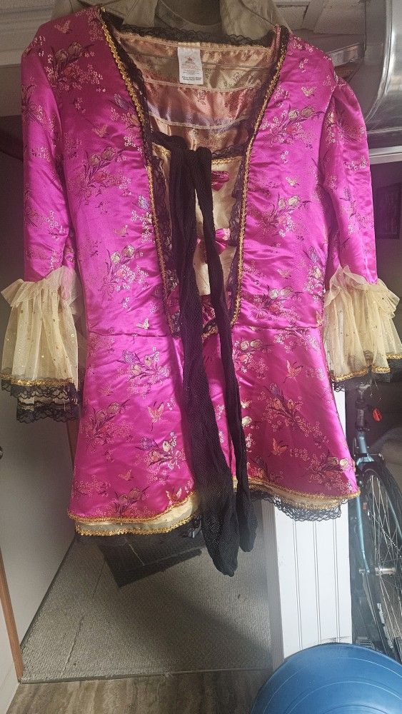 Costume Ladies Large Marie Antoinette 