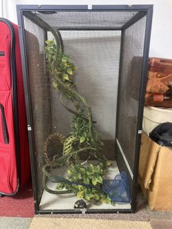 Chameleon Cage