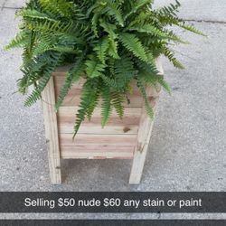 Cedar Plant Potter Box