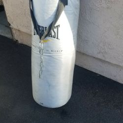 Everlast 60lbs Punching Bag