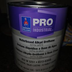 Paint 1 Gallon Low Sheen