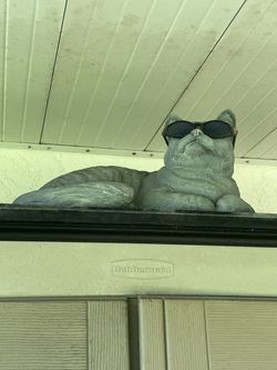 Outdoor Cat With Sunglasses Statue