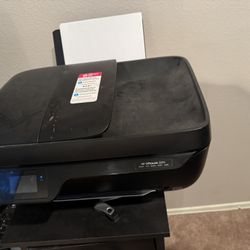 HP Printer 