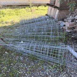 Tomato Cages 