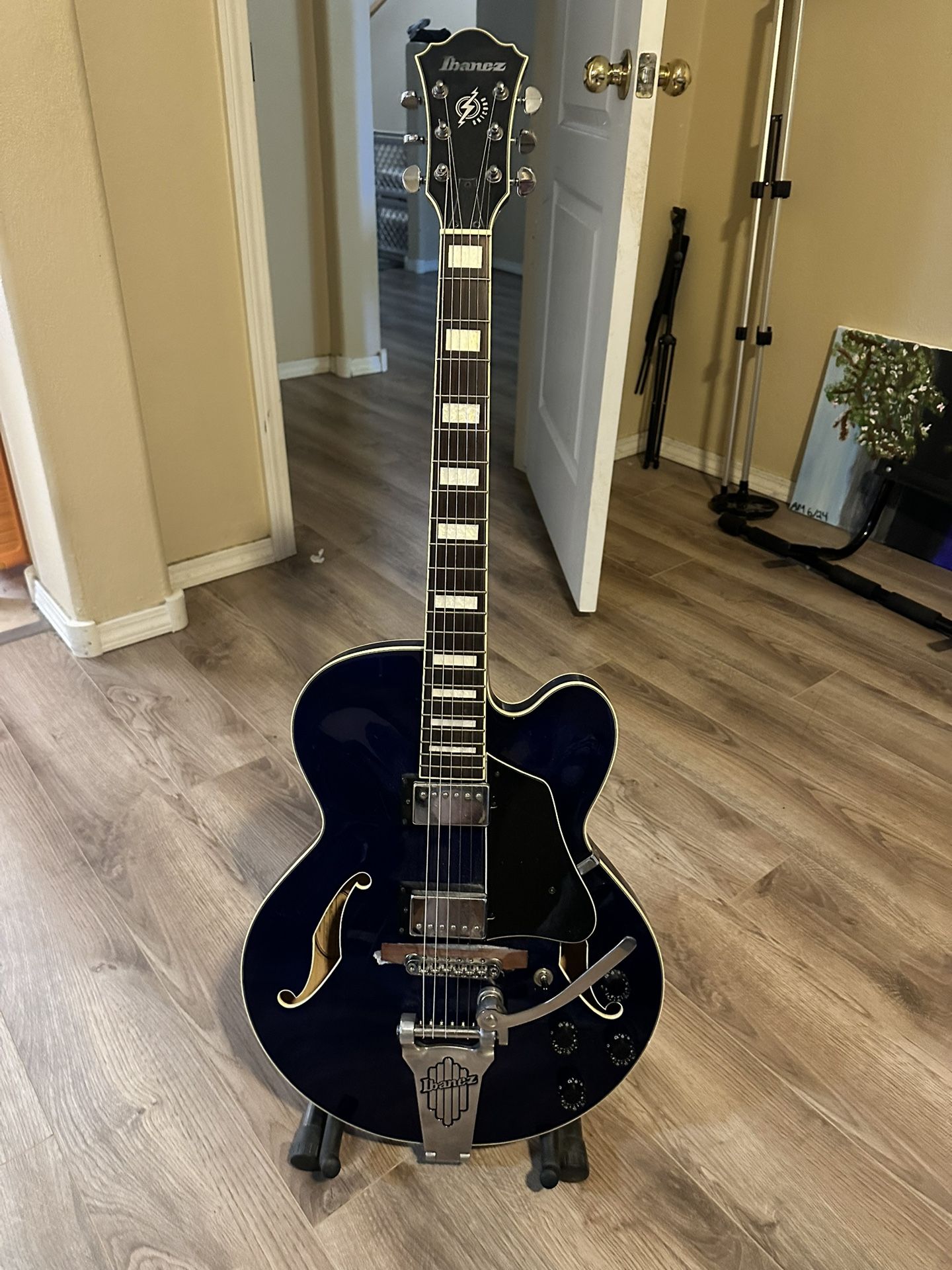 Ibanez Hollow Body electric Guitar