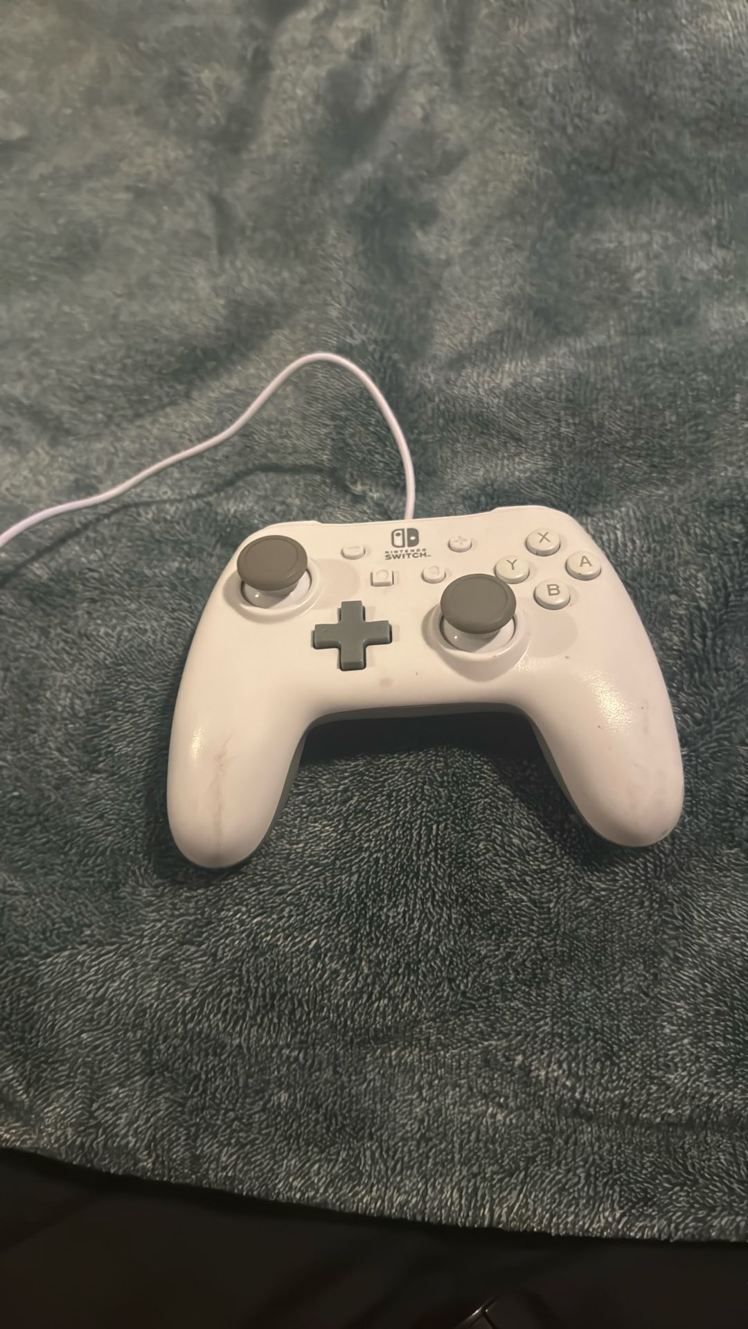 Basic Nintendo Switch Controller