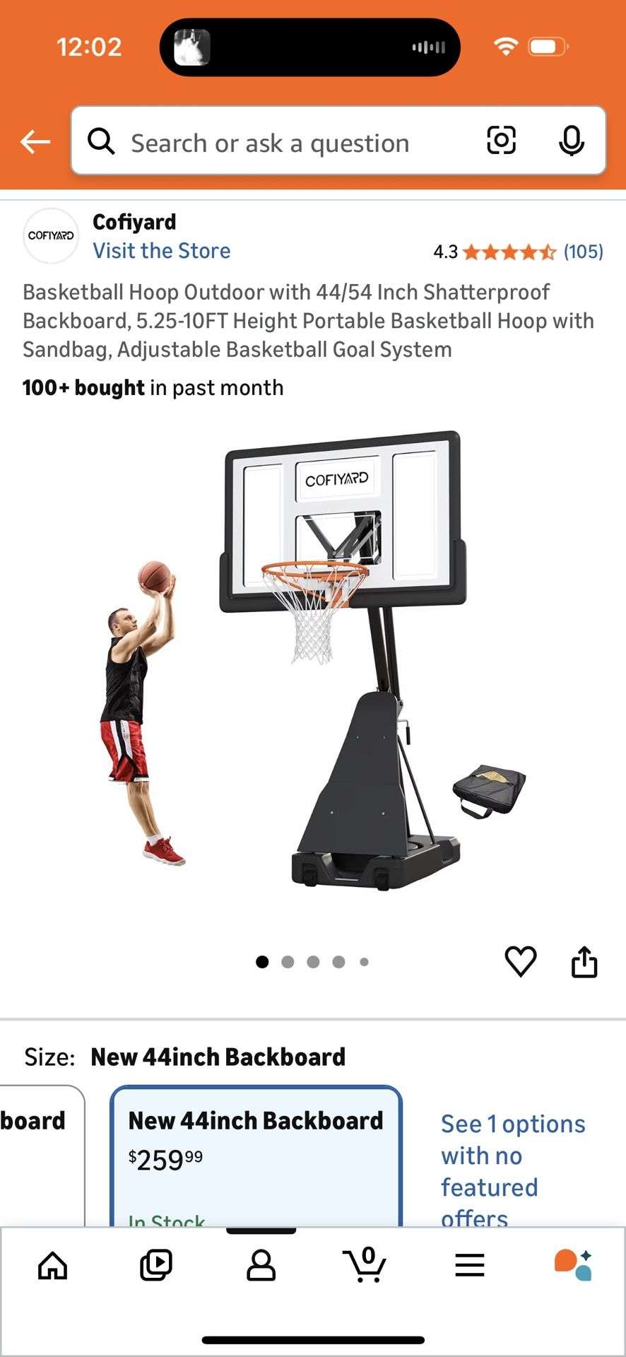 Basketball Hoop Outdoor Without Backboard