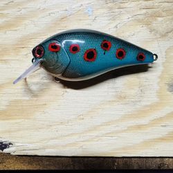Custom Painted “Eye Candy” Crank Bait