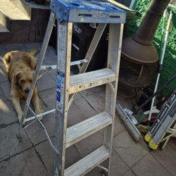4 Feet Tall Ladder