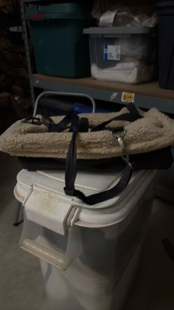 Car seat pet holder