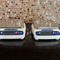 Compact Bench Scale