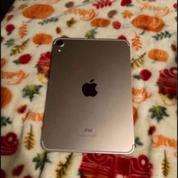 iPad Mini 6