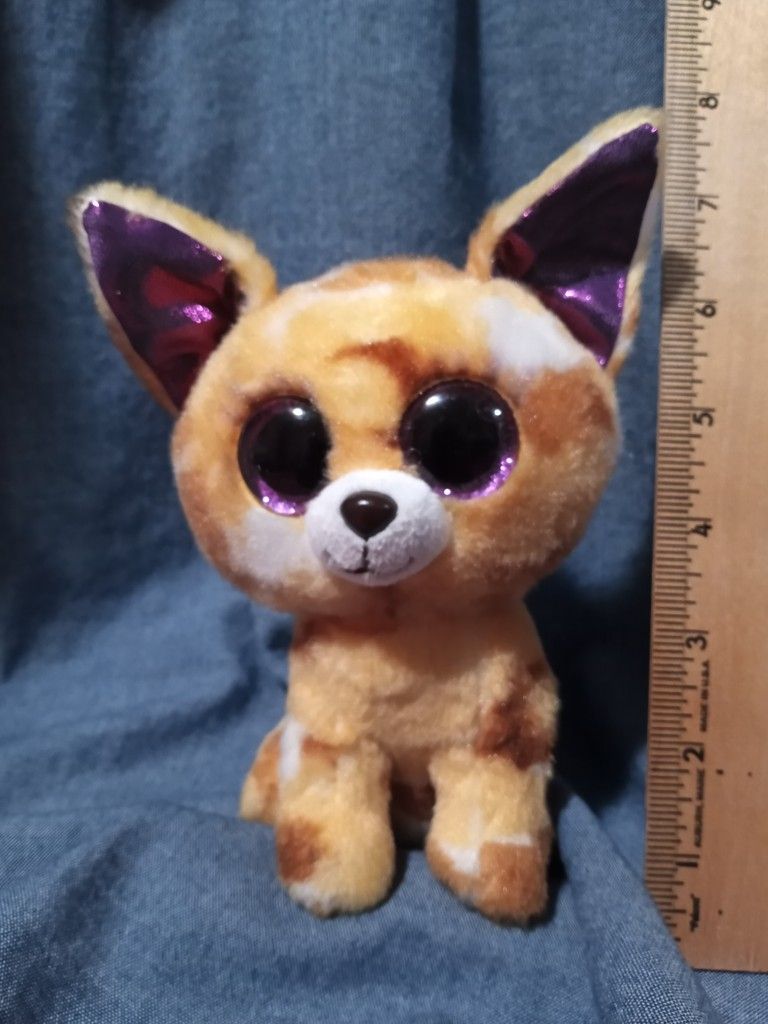 Pablo the chihuahua beanie boo online