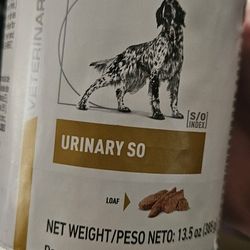 Free Dog Food