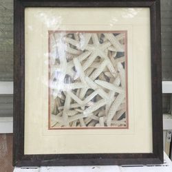 Photography framed wall art