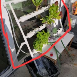 Hydroponic System