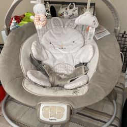 Baby  Bouncer