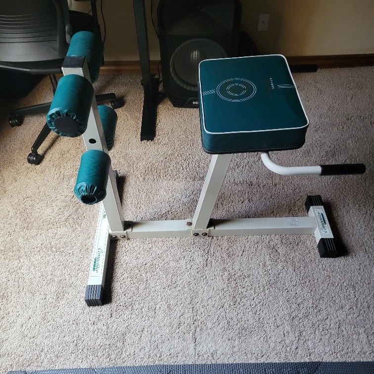 Gold's Gym Competitor Series Back Extension