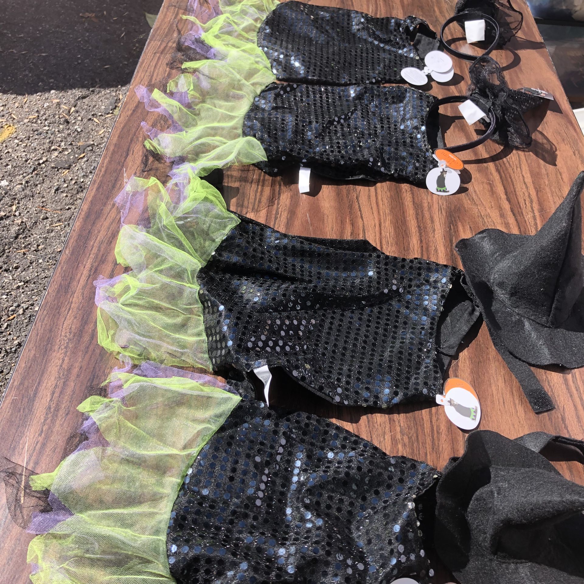 3 witch pet costumes Medium