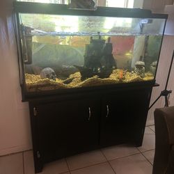 55 gallon Fish Tank